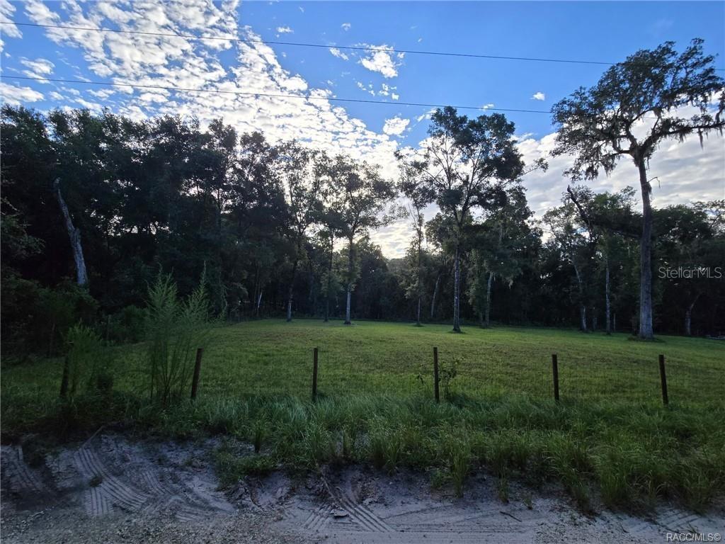 A grassy, fenced lot is bordered by a dense line of mature trees — 4689 S IRONWOOD POINT, INVERNESS, FL