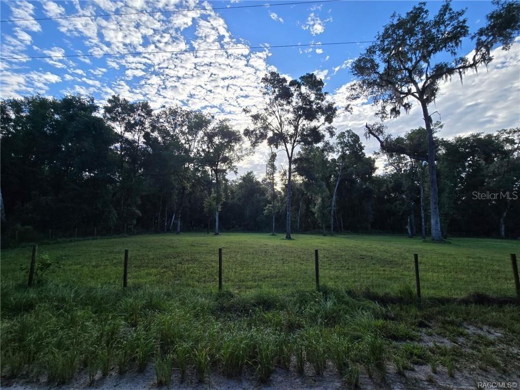 A grassy, fenced lot is bordered by a dense line of mature trees — 4689 S IRONWOOD POINT, INVERNESS, FL