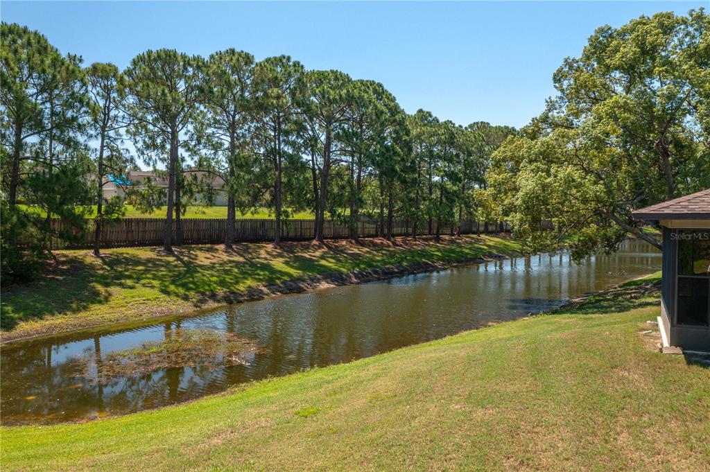 A grassy backyard slopes down to a canal lined with tall pine trees and a fence — 3245 PRAIRIE DUNES CIRCLE E, LAKELAND, FL