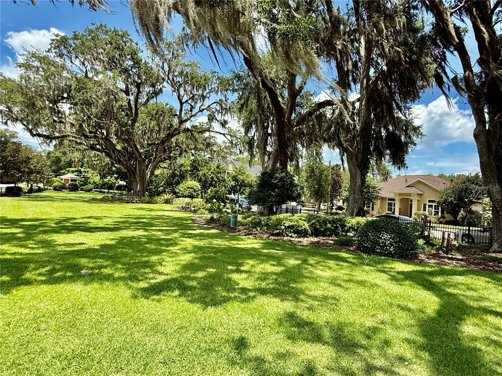 A large grassy lawn is shaded by mature oak trees with hanging Spanish moss — 7384 SW 35TH LANE, GAINESVILLE, FL