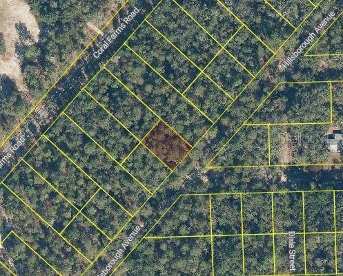 An aerial map shows a highlighted rectangular land parcel surrounded by wooded lots and roads — 110 W HILLSBOROUGH AVENUE, FLORAHOME, FL