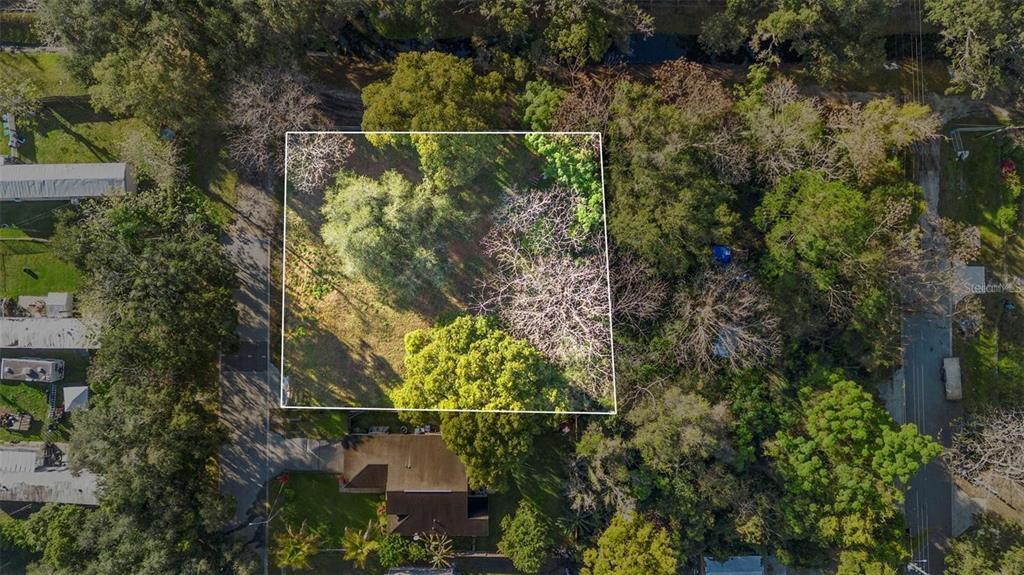 An aerial view shows a rectangular lot outlined in white, surrounded by trees and houses — 3RD AVENUE, ORLANDO, FL