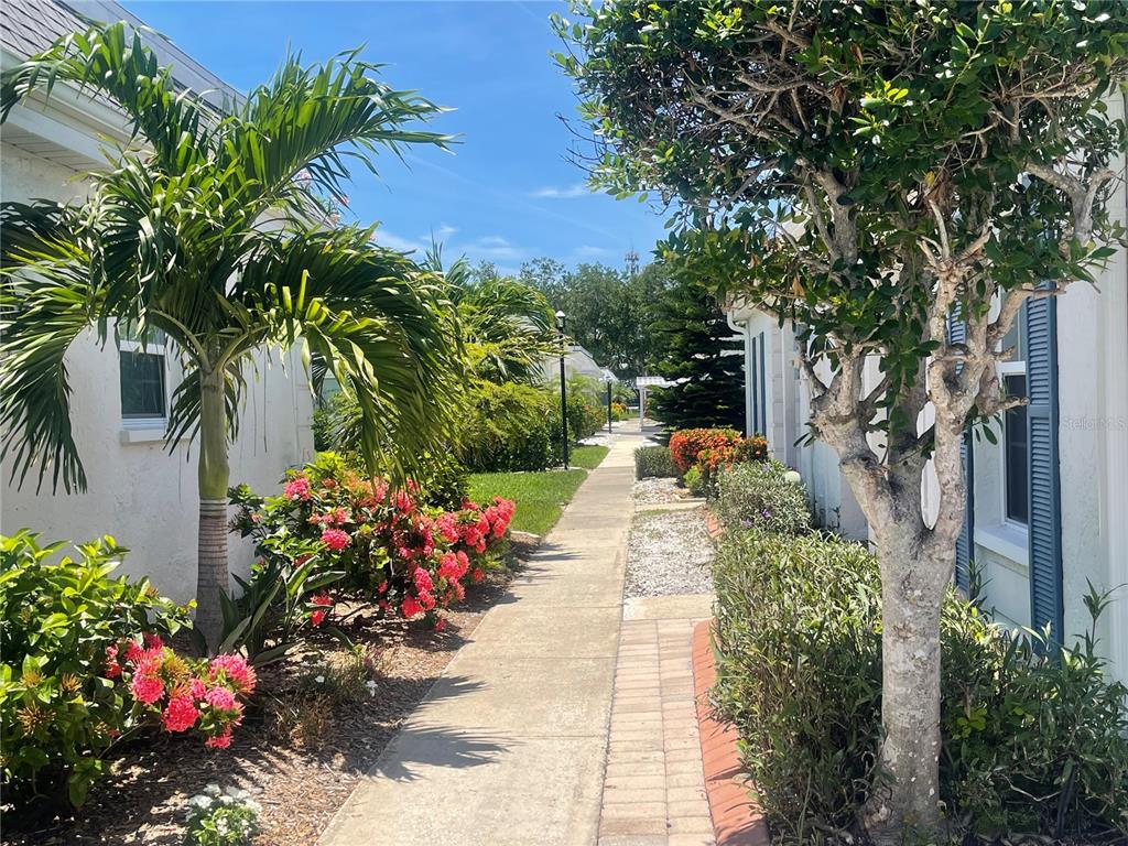 A concrete walkway leads between two white buildings surrounded by lush landscaping and palm trees — 9819 HERNANDO COURT UNIT 29-A, BRADENTON, FL