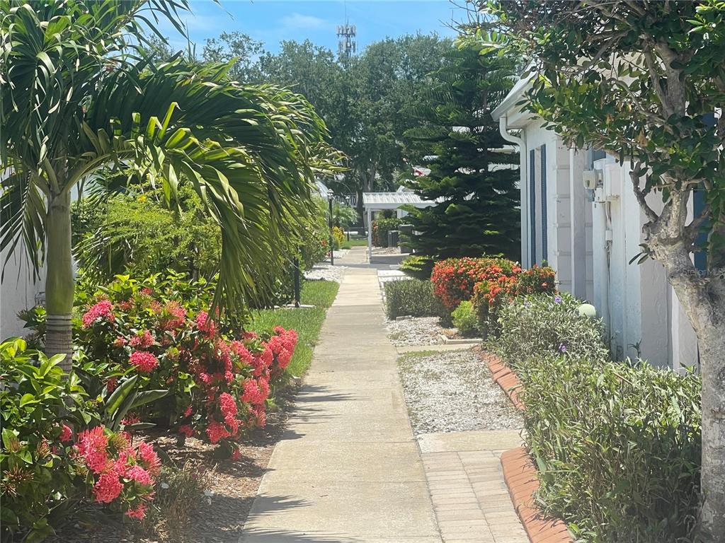 A concrete sidewalk leads between landscaped flower beds and residential buildings on a sunny day — 9819 HERNANDO COURT UNIT 29-A, BRADENTON, FL