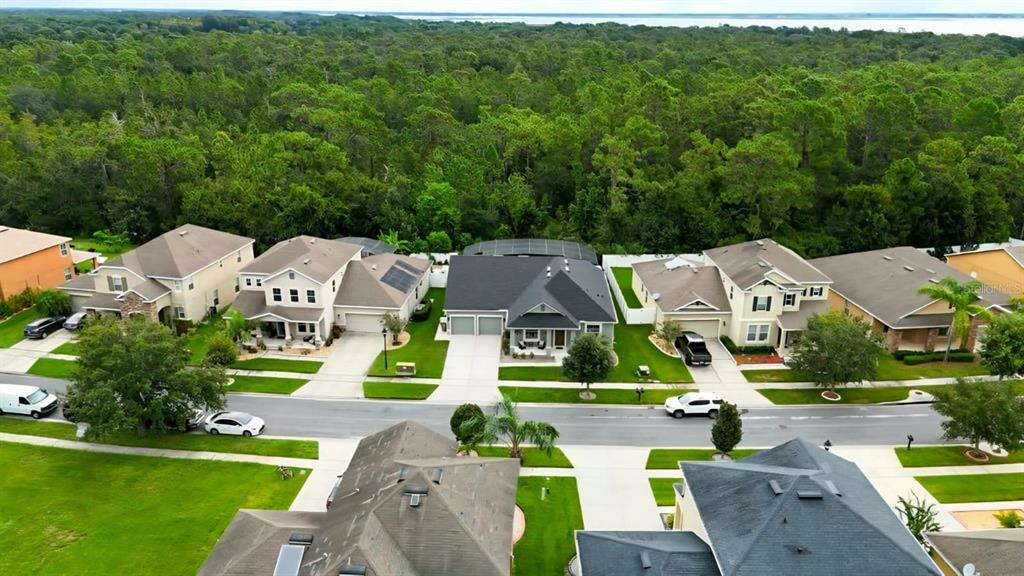 An aerial view shows a suburban street with single-family homes bordering a dense forest — 2651 MARSHFIELD PRESERVE WAY, KISSIMMEE, FL