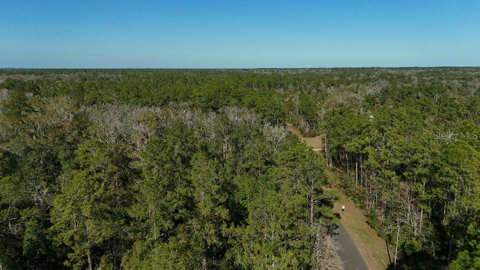 An aerial view shows a paved road winding through a dense, wooded forest area — 0 CHEROKEE DRIVE, SOPCHOPPY, FL