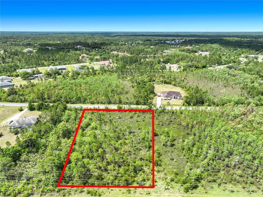 An aerial view shows a rectangular, wooded vacant lot outlined in red next to a road — 00 WEMBLEY AVENUE, ORLANDO, FL