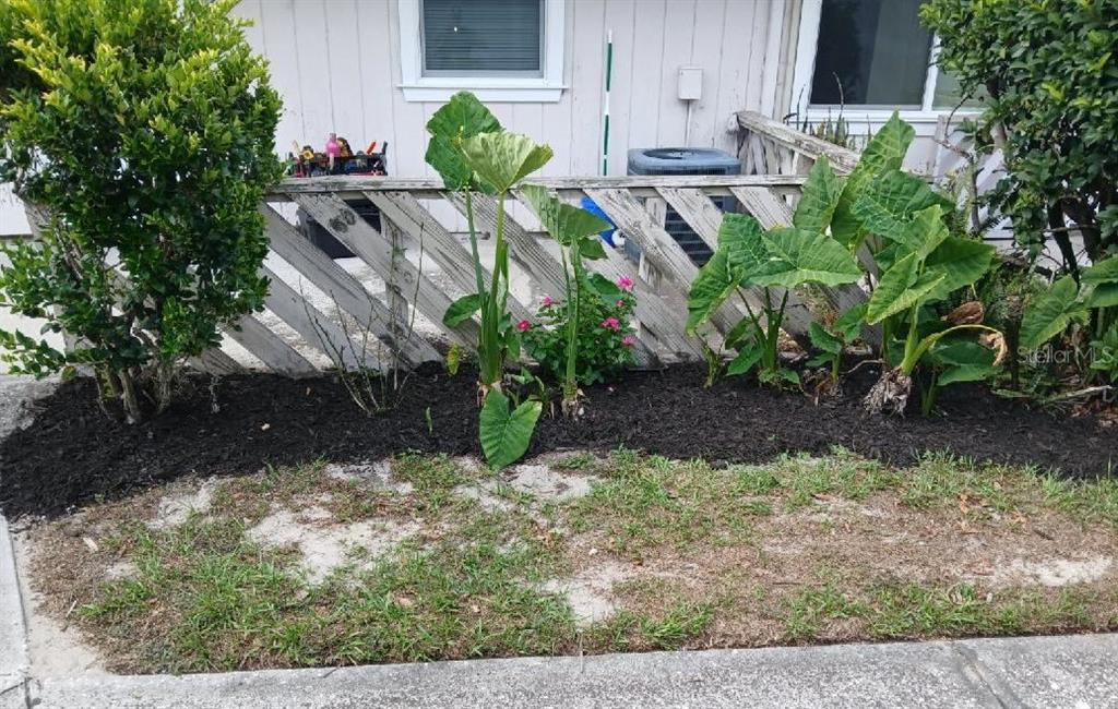 A garden bed with elephant ear plants and a small bush sits before a wooden fence — 8534 CHANNELVIEW CIRCLE UNIT 8534, TAMPA, FL