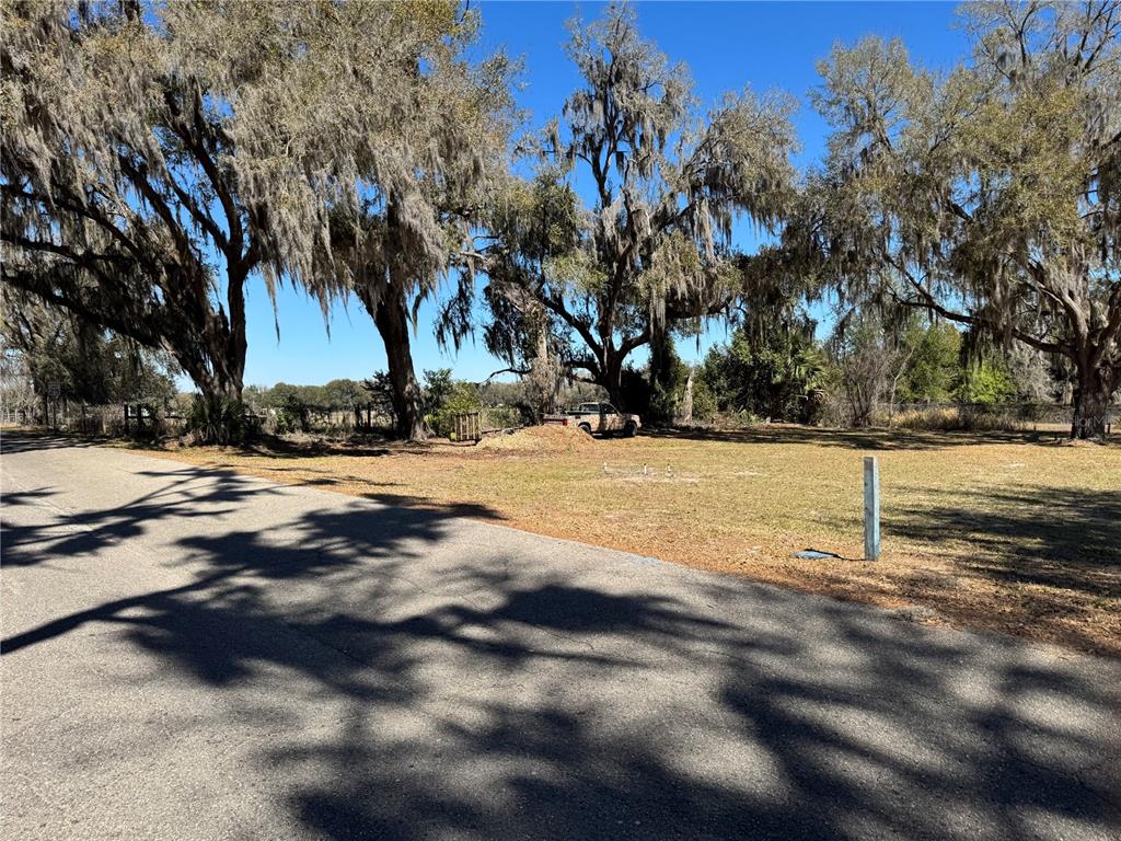 A vacant, grassy lot with large oak trees sits beside a paved road — 5525 W EVANS STREET, COLEMAN, FL