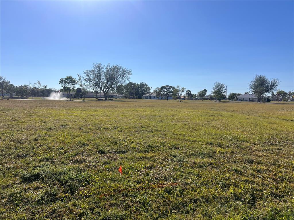 A large, flat, grassy vacant lot under a clear blue sky with distant trees — 25325 LYCHEE COURT, PUNTA GORDA, FL
