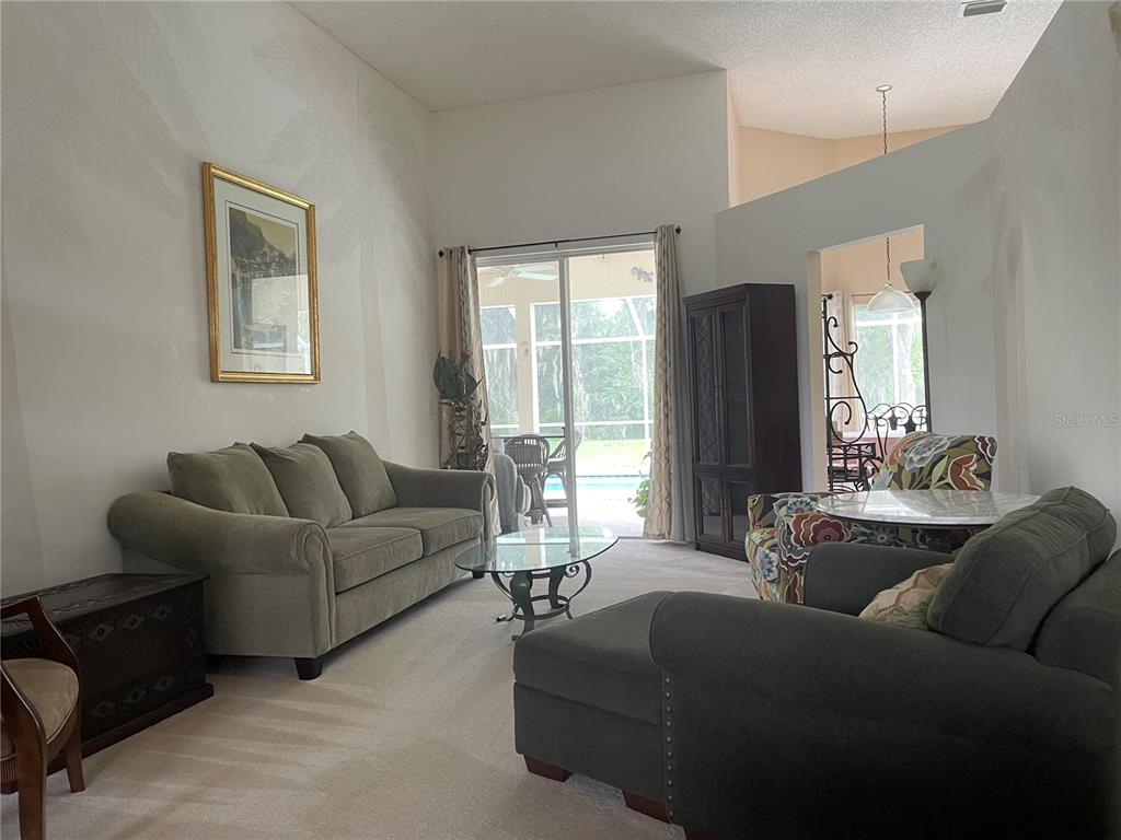 A living room features a green sofa, a dark armchair, and a sliding glass door — 28719 RALEIGH PLACE, WESLEY CHAPEL, FL