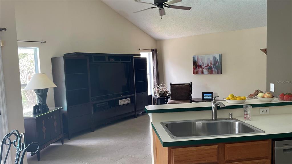 A kitchen sink overlooks a living room featuring a large entertainment center and vaulted ceilings — 28719 RALEIGH PLACE, WESLEY CHAPEL, FL