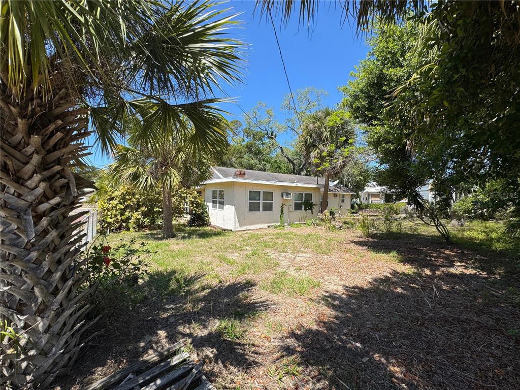 A single-story house with light-colored siding sits in a yard with palm trees and vegetation — 72 ADA STREET, TARPON SPRINGS, FL