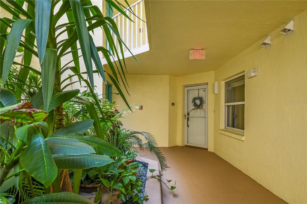 A yellow-walled exterior walkway features a white front door, a window, and lush potted plants — 8700 RIDGEWOOD AVENUE UNIT B204, CAPE CANAVERAL, FL