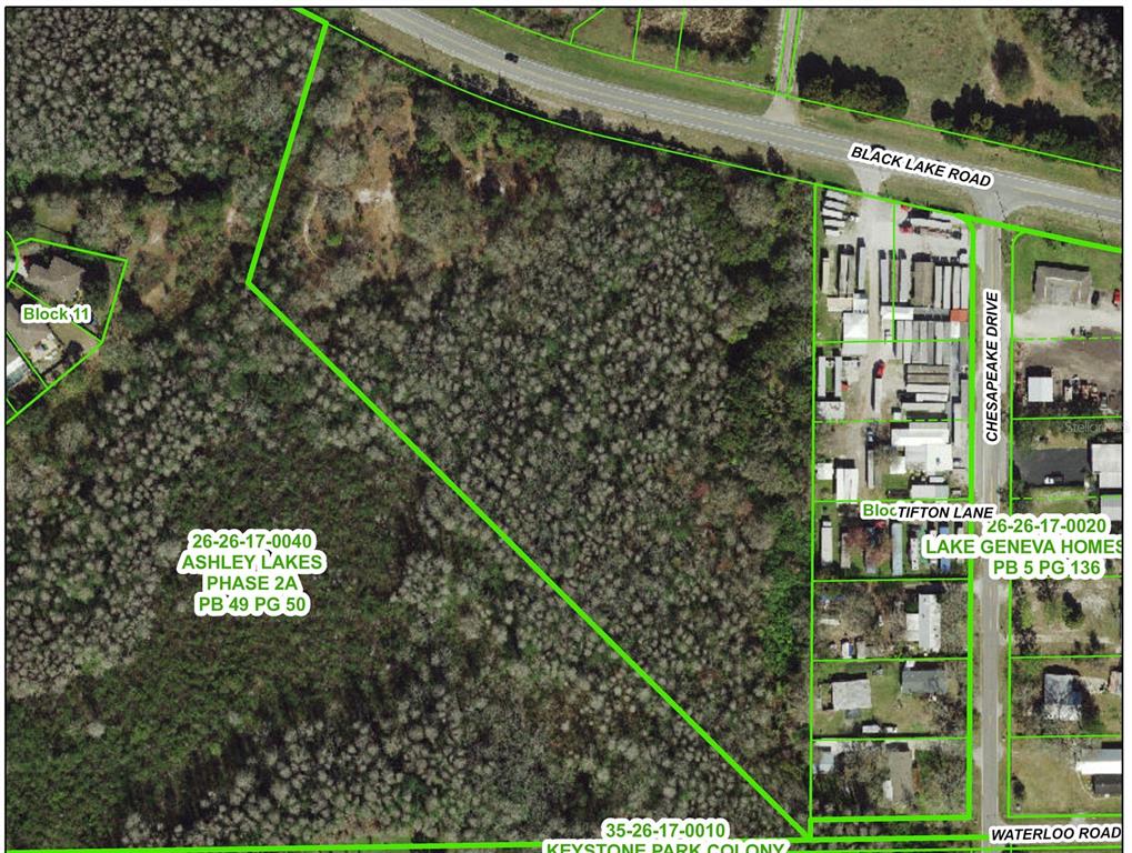 This is a property map showing a large wooded parcel adjacent to residential lots — 14356 BLACK LAKE ROAD, ODESSA, FL