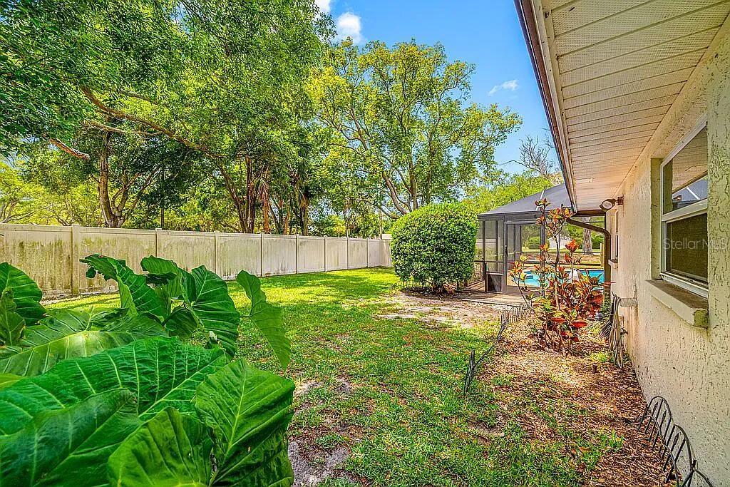 A backyard view showing a grassy lawn, a white fence, and a screened-in pool area — 10 LINDEN LANE, PALM HARBOR, FL