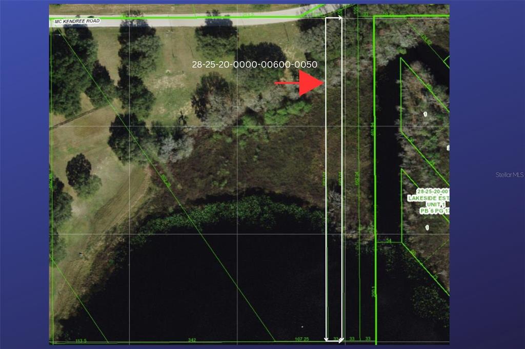 This is an aerial map showing a narrow, rectangular parcel of land bordering a lake — 0000 MCKENDREE ROAD, WESLEY CHAPEL, FL