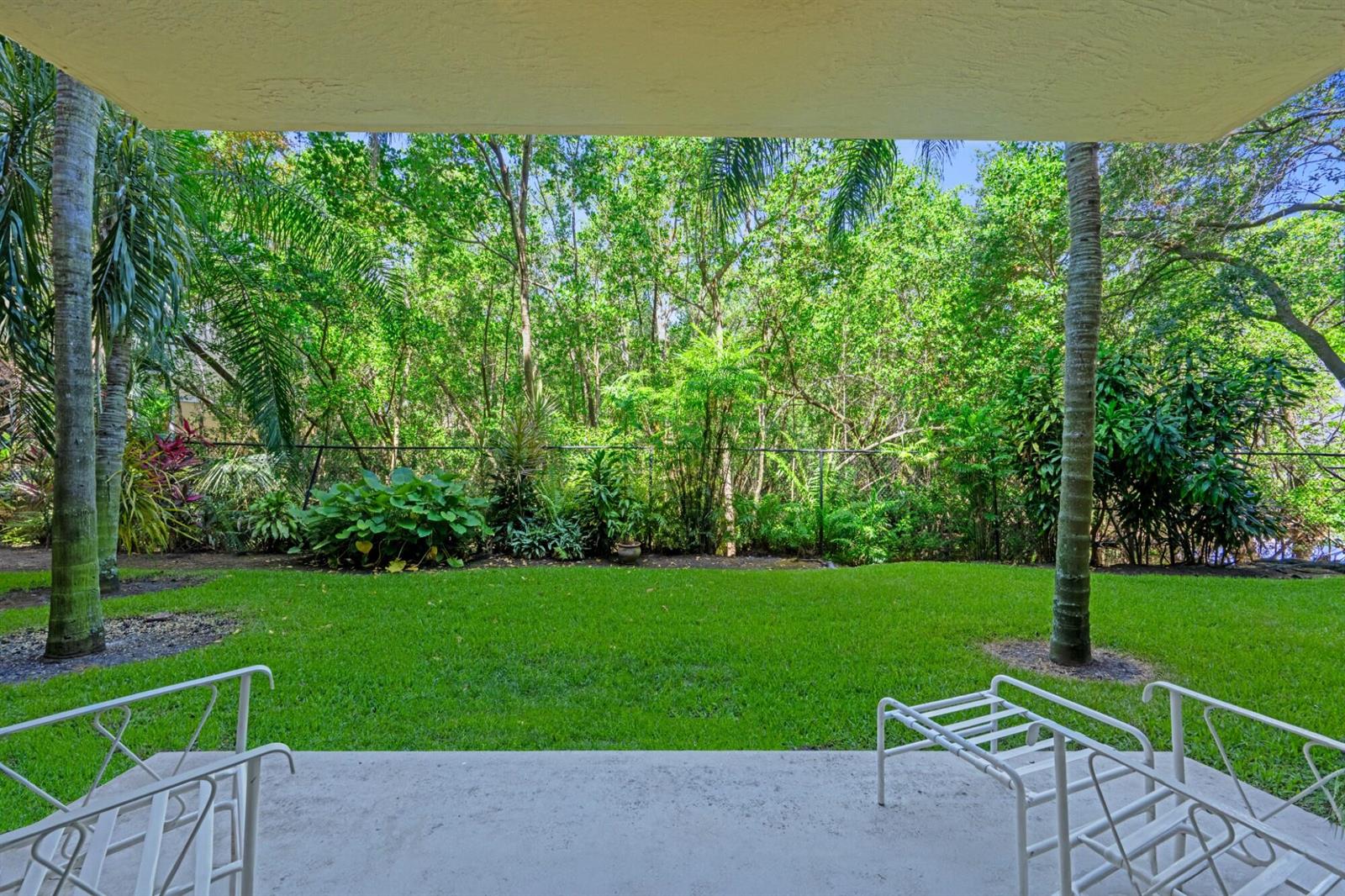 A concrete patio overlooks a grassy backyard with palm trees and dense surrounding foliage — 619 E Sheridan Street # 106, Dania Beach FL 33004, DANIA BEACH, FL