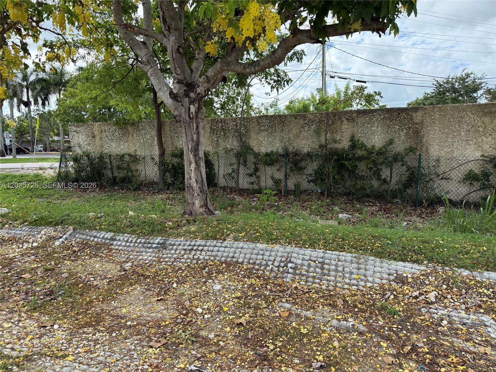 A large tree with yellow flowers stands before a concrete wall and chain-link fence — SW 157th, Homestead FL 33033, HOMESTEAD, FL