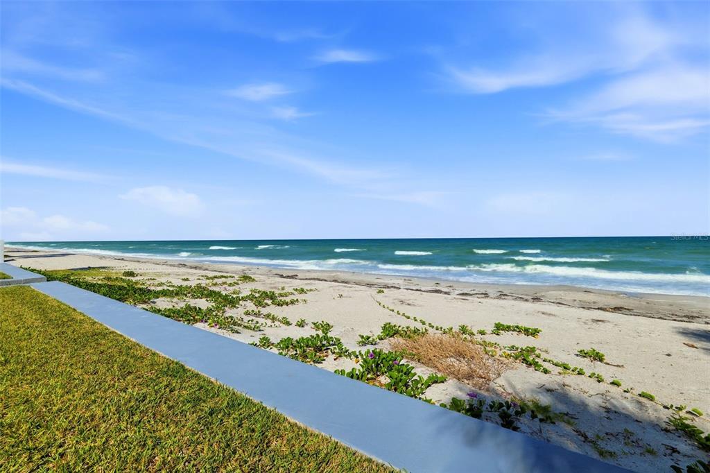 A view of a sandy beach and ocean from a grassy lawn with a wall — 1480 GULF BOULEVARD, BELLEAIR BEACH, FL
