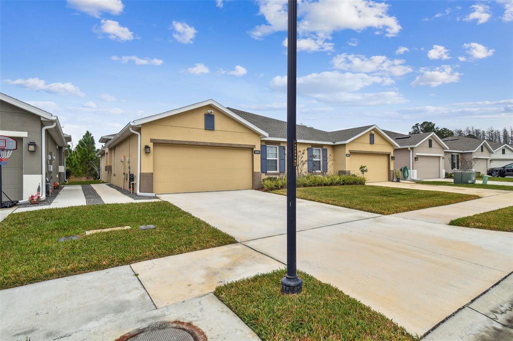 A street-level view of suburban houses with tan stucco exteriors and attached garages — 18053 TURNING LEAF CIRCLE, LAND O LAKES, FL