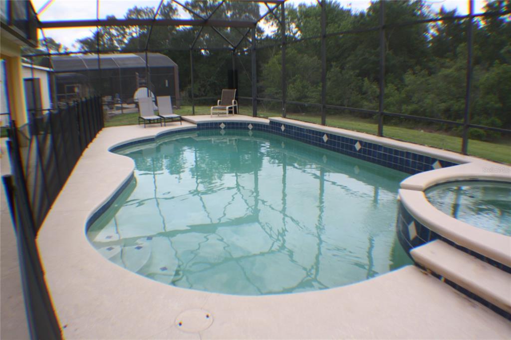 A screened-in swimming pool and spa area with a safety fence and patio — 8515 PALM HARBOR DRIVE, KISSIMMEE, FL