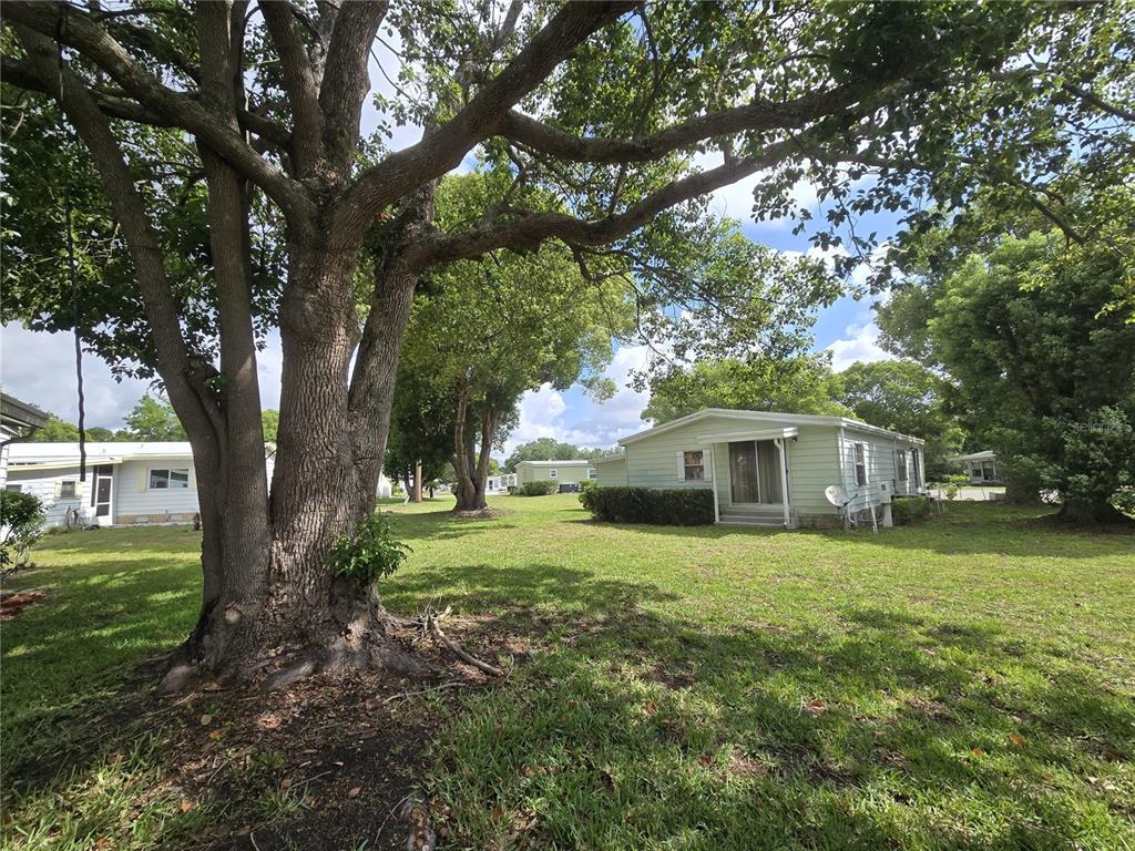 A grassy yard features a large tree in the foreground and two light-colored mobile homes — 2011 OAK GROVE DRIVE UNIT 39, ZELLWOOD, FL