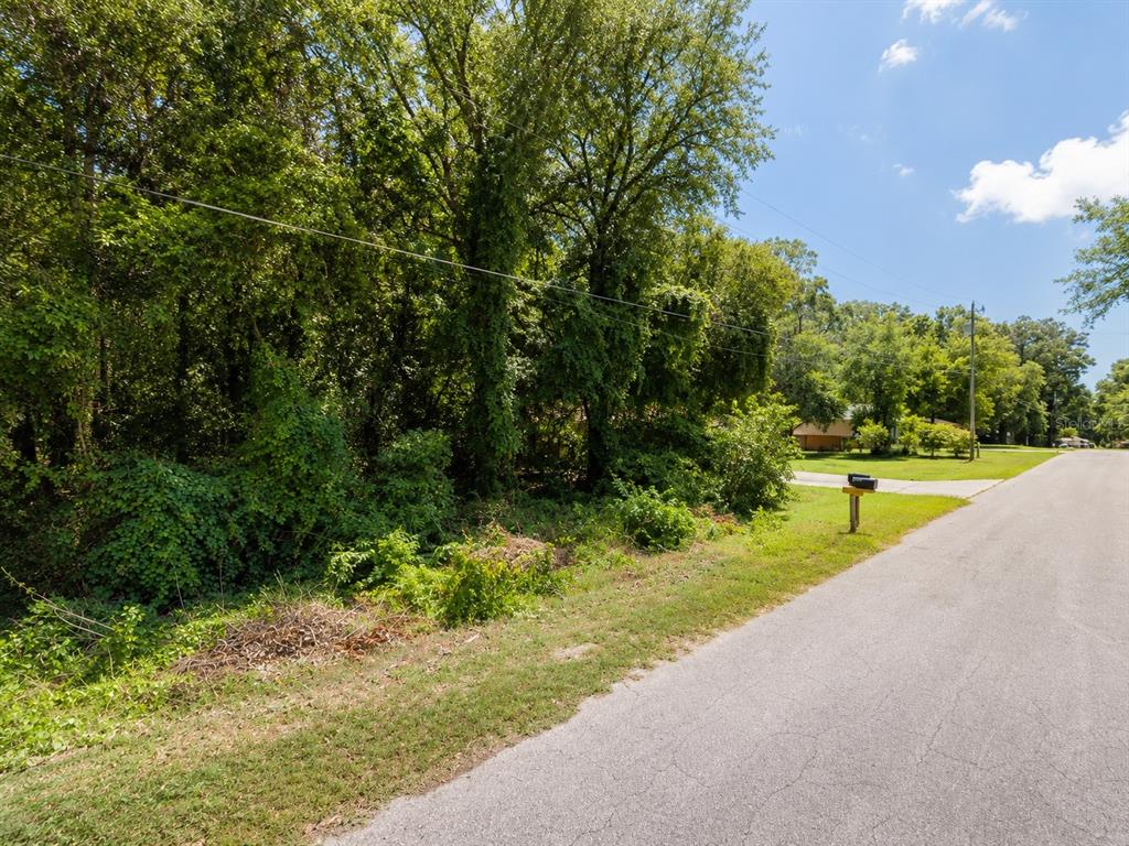 A paved road runs alongside a wooded, undeveloped lot with a single mailbox — 6824 E FALCON REST LN, INVERNESS, FL