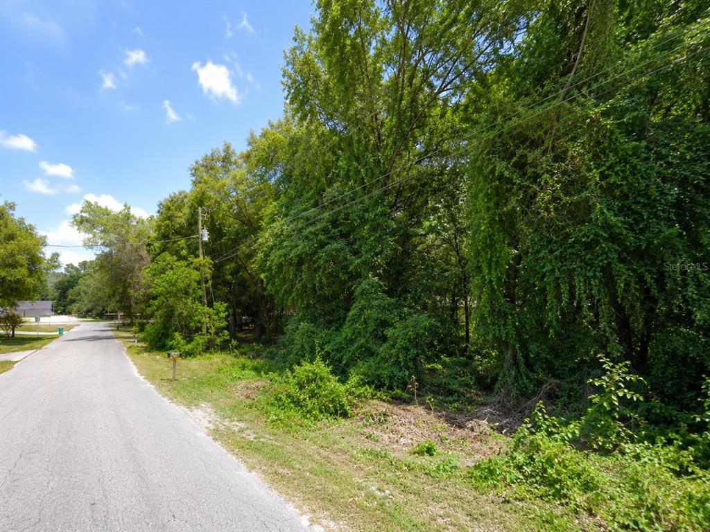 A paved road runs alongside a densely wooded, undeveloped lot under a blue sky — 6824 E FALCON REST LN, INVERNESS, FL