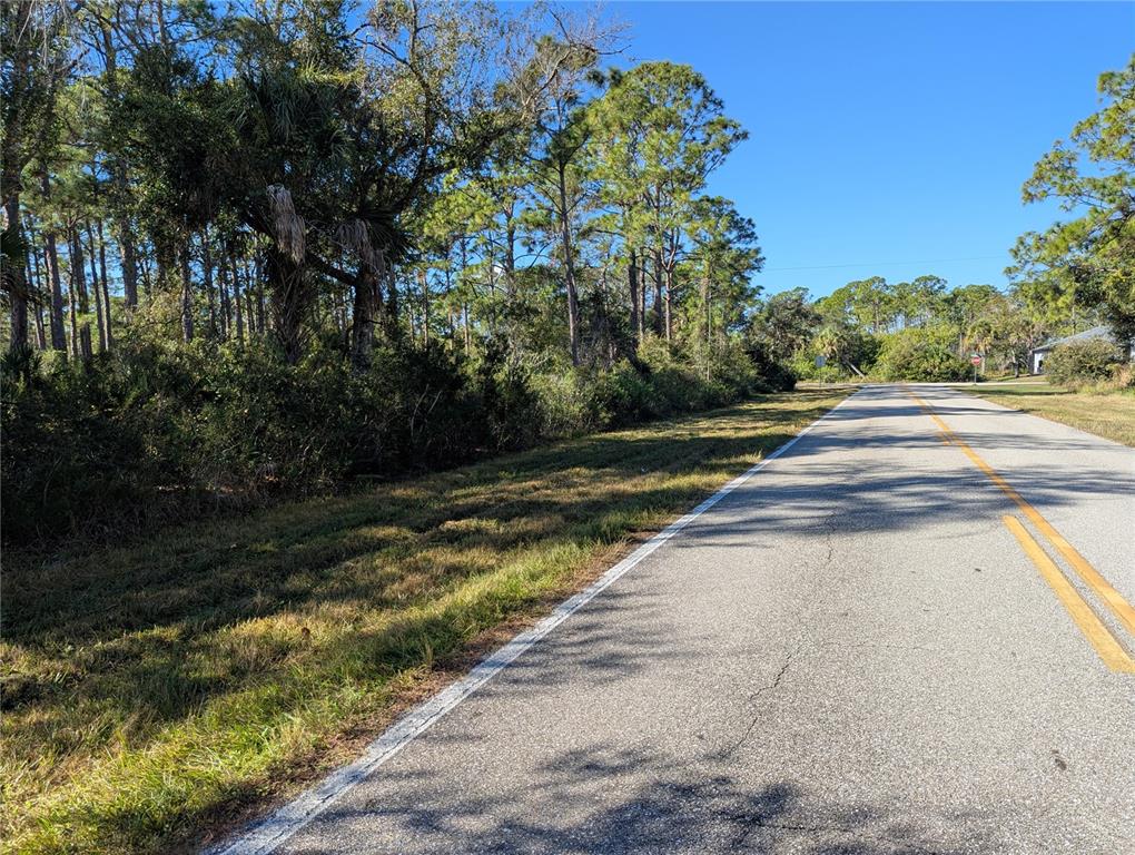 A paved road runs alongside a wooded area with tall trees and dense vegetation — 12049 CHAMBERLAIN BOULEVARD, PORT CHARLOTTE, FL