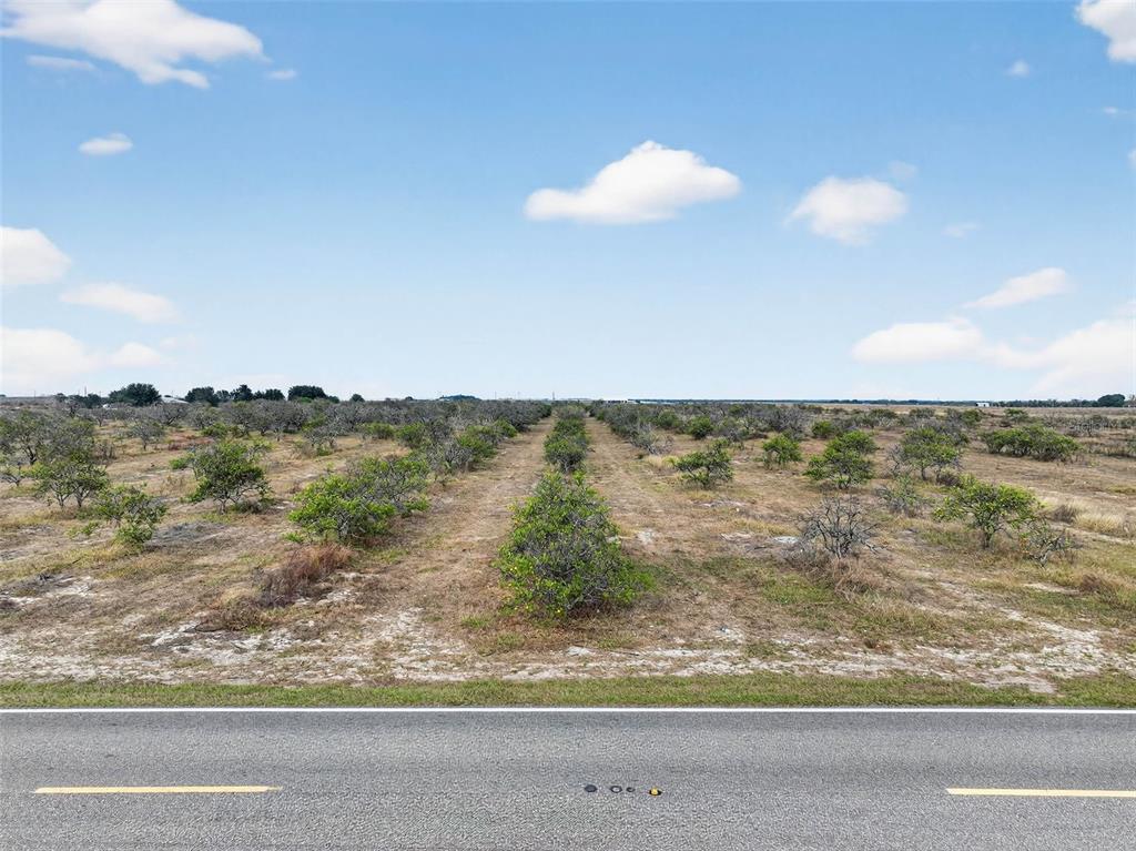ALTURAS BABSON PARK CUTOFF, BARTOW, FL — photo 4 of 15