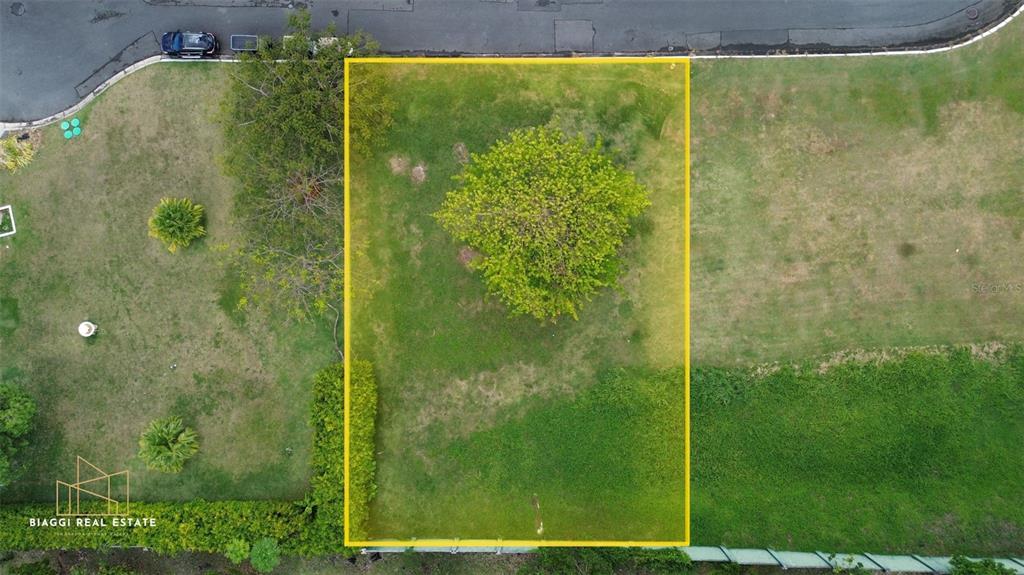 An aerial view shows a rectangular vacant lot outlined in yellow with a large tree — LAS VISTA, LOT.24, RIO MAR, RIO GRANDE, PR