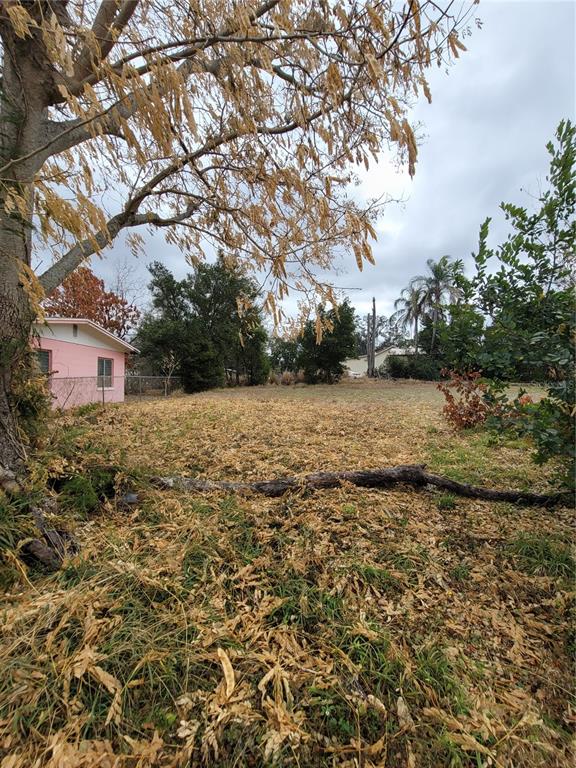 A large, leaf-covered yard features a fallen tree trunk and a pink house nearby — 6TH STREET N, HAINES CITY, FL