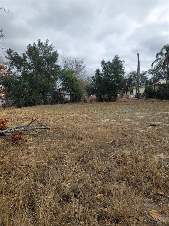 A vacant, grassy lot with scattered dry vegetation and surrounding trees under a cloudy sky — 6TH STREET N, HAINES CITY, FL