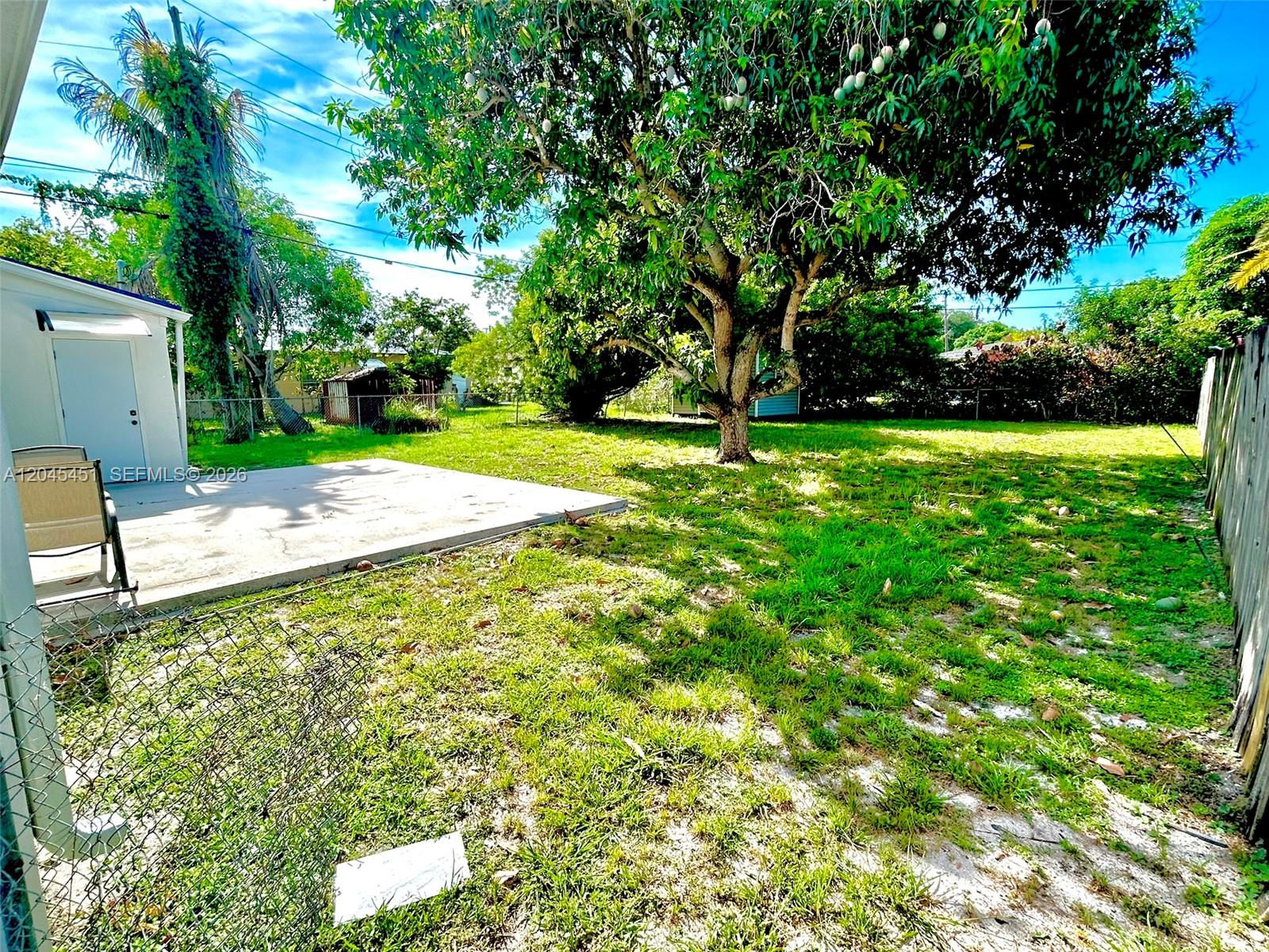 A backyard features a concrete patio, a large mango tree, and a chain-link fence — 611 NE 171st St, North Miami Beach FL 33162, NORTH MIAMI BEACH, FL