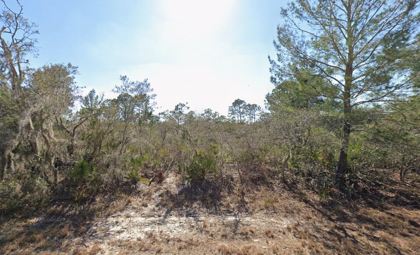 3235 N Dahlia Drive, Lake Placid FL 33852