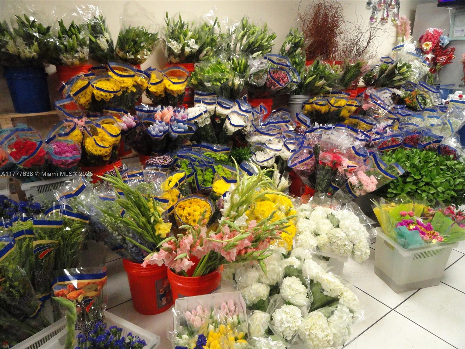 Exhibit Area — MIAMI, FL