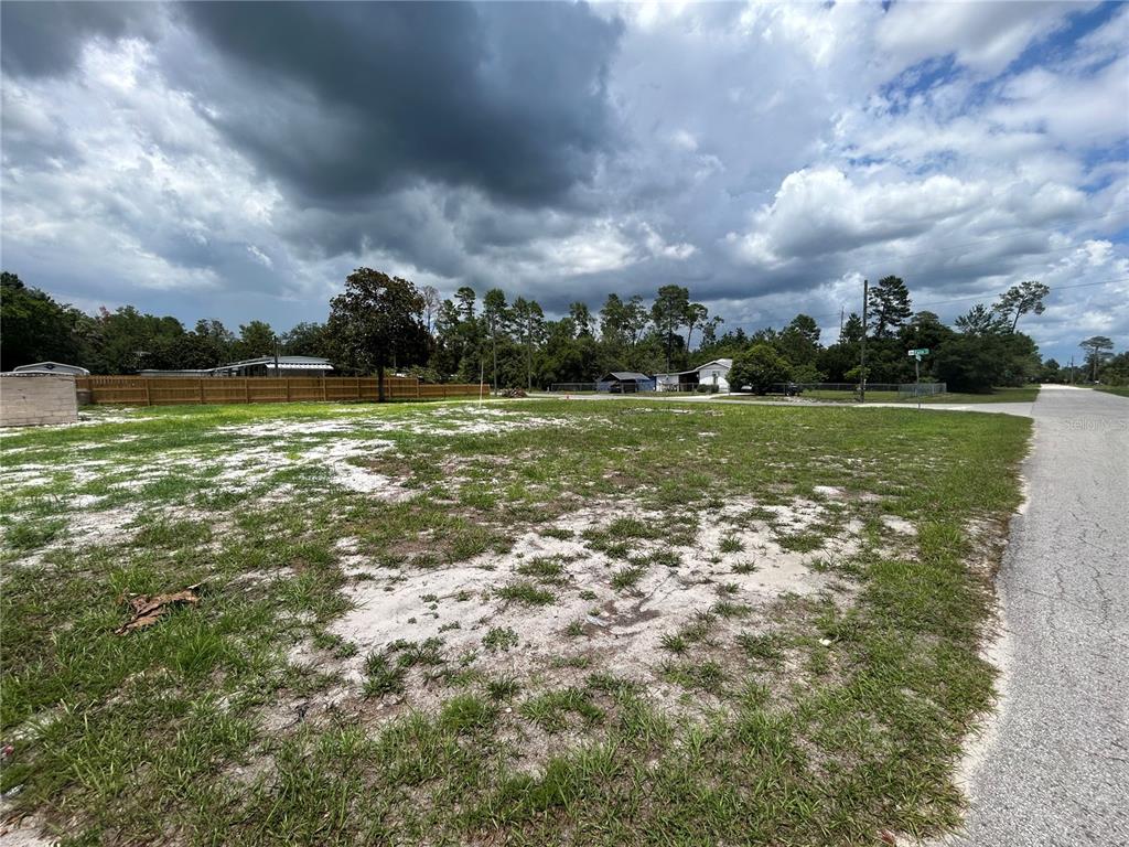 A vacant, grassy lot with sandy patches sits beside a paved road under a cloudy sky — 28245 BOUGAINVILLEA AVENUE, PAISLEY, FL