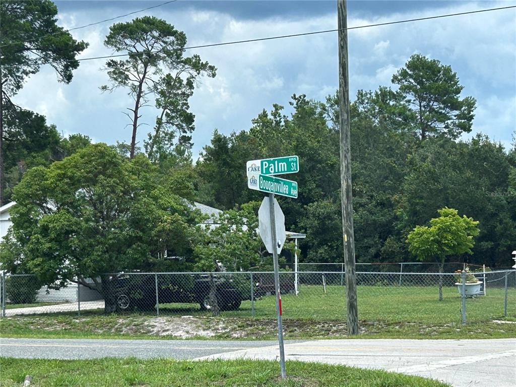 A street sign for Palm Street and Bougainvillea Avenue stands in front of a fenced yard — 28245 BOUGAINVILLEA AVENUE, PAISLEY, FL