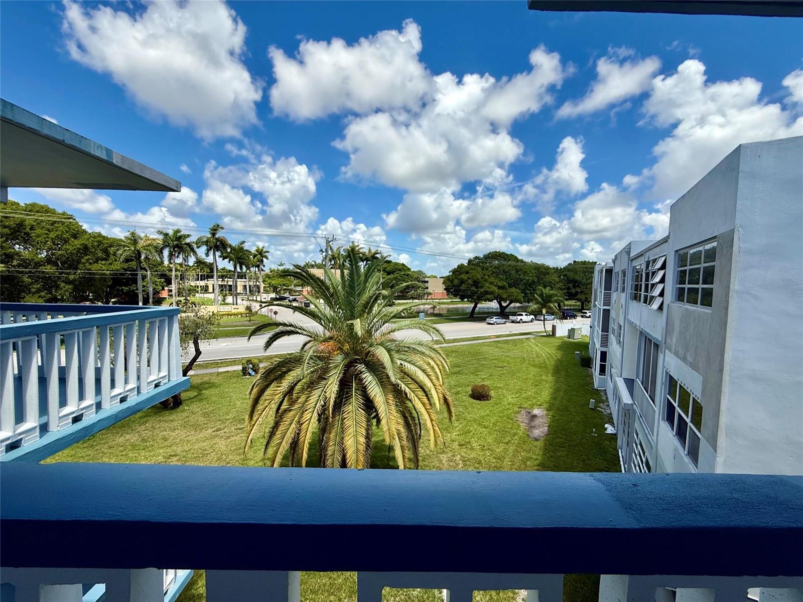 A view from a balcony overlooking a grassy courtyard, a palm tree, and a street — 2300 Park Lane # 311, Hollywood FL 33021, HOLLYWOOD, FL