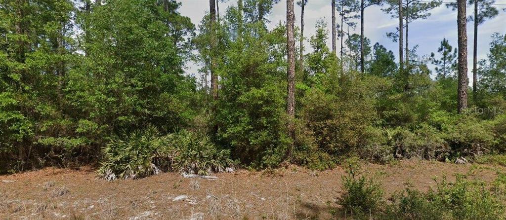 A wooded lot with dense trees, shrubs, and palmettos under a partly cloudy sky — 148 ARDEN STREET, GEORGETOWN, FL