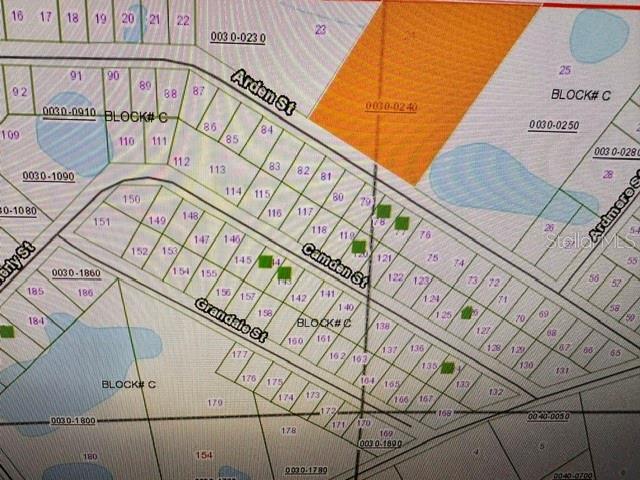 This is a tax map showing numbered property lots along Arden, Camden, and Grandale Streets — 148 ARDEN STREET, GEORGETOWN, FL