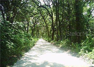 A dirt path winds through a dense forest of mature trees — 148 ARDEN STREET, GEORGETOWN, FL