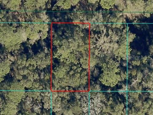 An aerial view shows a rectangular plot of land outlined in red within a wooded area — SW 29TH STREET, OCALA, FL