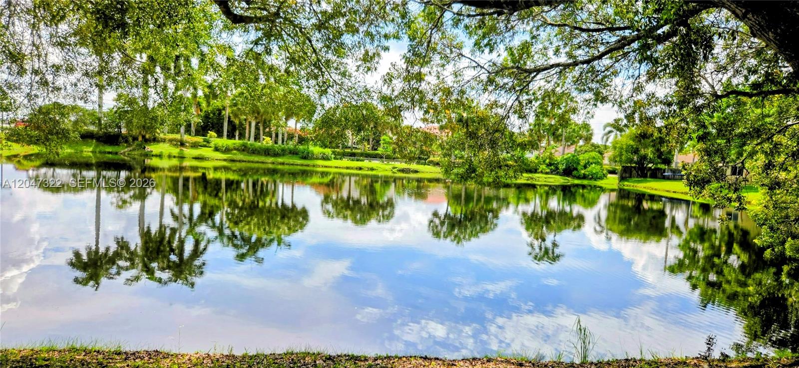 A calm pond reflects the surrounding trees and blue sky on a sunny day — 153 Lakeview Dr # 104, Weston FL 33326, WESTON, FL