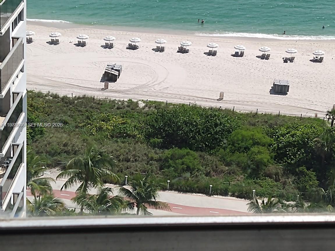 An elevated view shows a sandy beach with umbrellas, a path, and lush vegetation — 6039 Collins Ave # 1710, Miami Beach FL 33140, MIAMI BEACH, FL