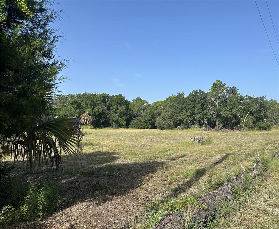 A large, grassy, undeveloped lot is bordered by a dense line of trees — 11360 S FLORIDA AVENUE, FLORAL CITY, FL