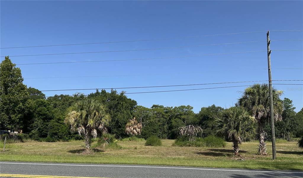 A vacant, grassy lot with several palm trees sits beside a paved road — 11360 S FLORIDA AVENUE, FLORAL CITY, FL