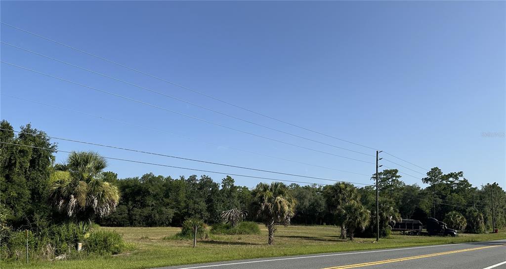 A grassy, undeveloped lot features scattered palm trees and a truck parked near the back — 11360 S FLORIDA AVENUE, FLORAL CITY, FL