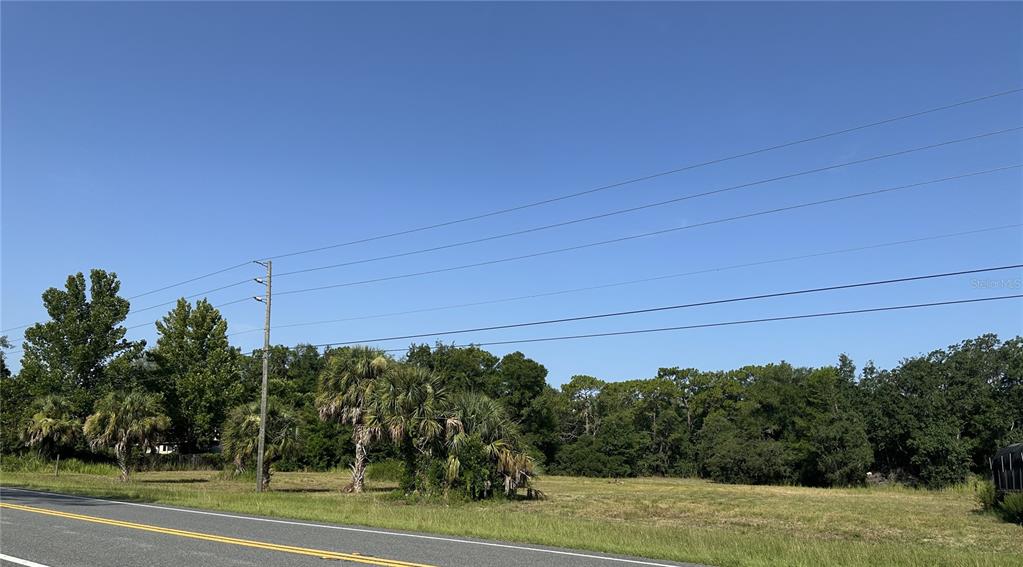 A grassy, undeveloped lot sits beside a paved road with trees and power lines — 11360 S FLORIDA AVENUE, FLORAL CITY, FL